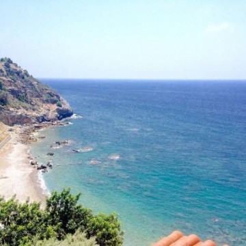 Alanya Uğrak  Mah Satılık 1305 m2 Tarla